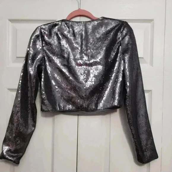 Silver Sequin Crop Top - Picture 3 of 4